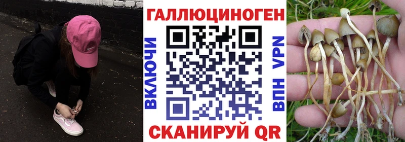 Галлюциногенные грибы Cubensis  Купить  Новодвинск 
