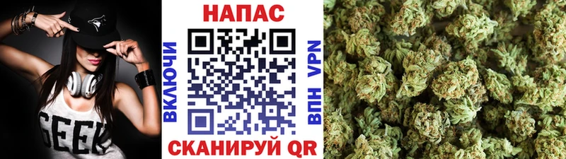 Марихуана марихуана  Купить где  Новодвинск 